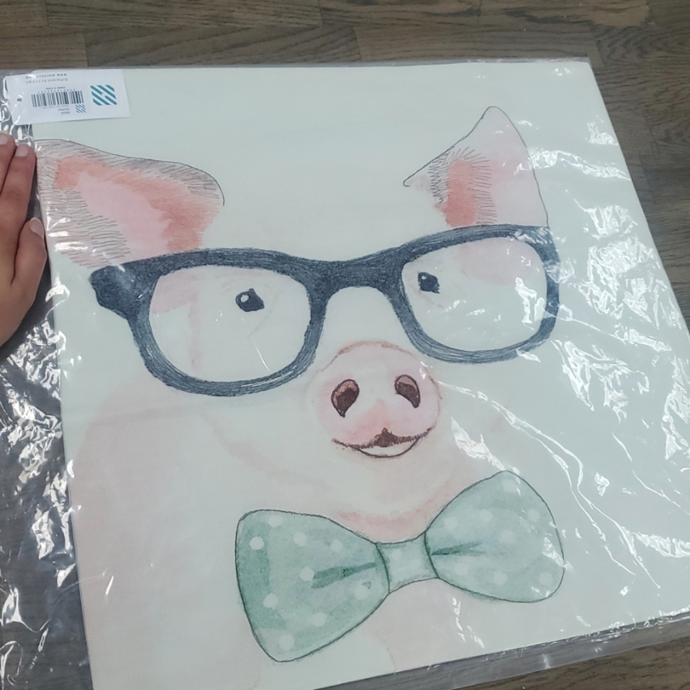 Mercana Gunther 18 x 18 Pink Pig with Glasses Decorative Pillow Cover